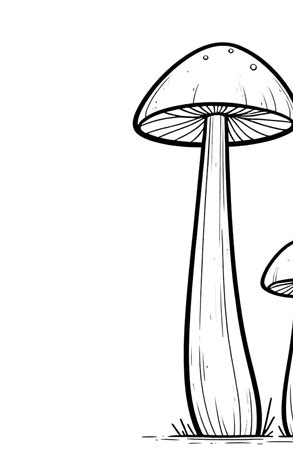 Illustration champignon — Samadoss, chant et rap