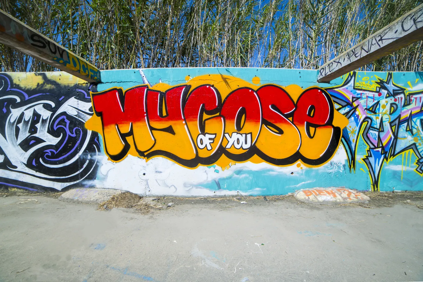 Tag Mycose of You sur le mur